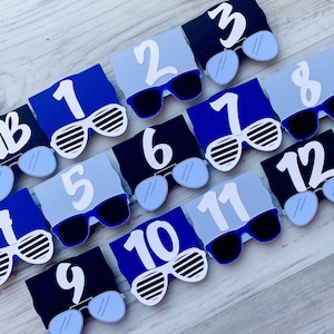 One Cool Dude First Year Photo Clips, Cool Dude 1st Birthday Picture Banner, Shades & Sunglasses Monthly Milestone Pic Display