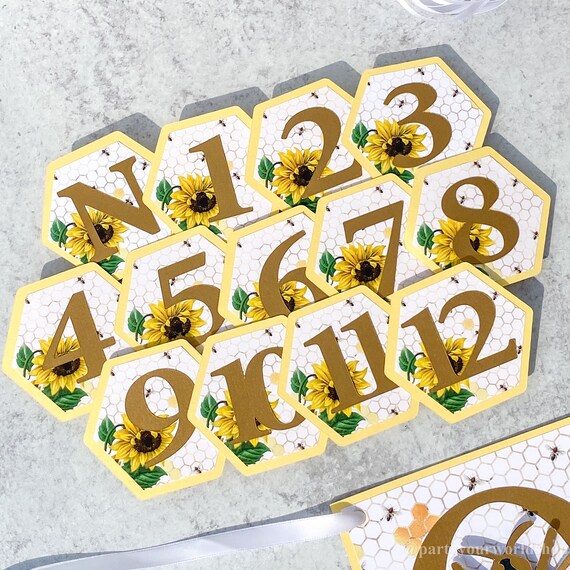 Il_570xn