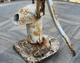 May include: A white cast iron hand pump with rust showing on the surface. The pump has a long handle and a spout for dispensing water.