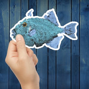 Colorful Fish Sticker ~ Perfect Gift for Fishermen ~ Gyotaku Artwork ~ Ocean Decal for Laptop, Water Bottle, Journal ~ Triggerfish Sticker