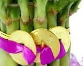 Lucky Bamboo For Love - 2 Tier