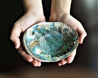 Natural Abalone Shell for Smudging and Burning Cleansing Herbs