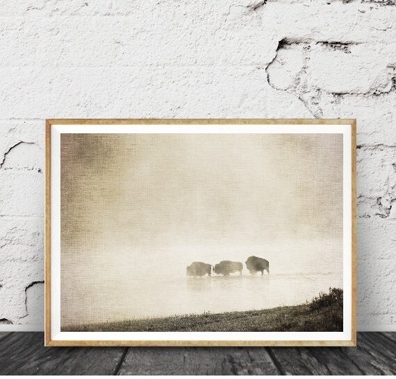 Impression Papier Buffalo Bison Wall Art Photo Couleur Etsy