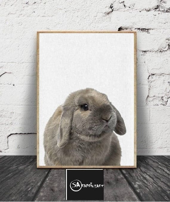 Imprime Lapin Bebe Animal Imprime Decor De Chambre Denfant Etsy Imprime Lapin Bebe Animal Imprime Decor De Chambre Denfant Etsy