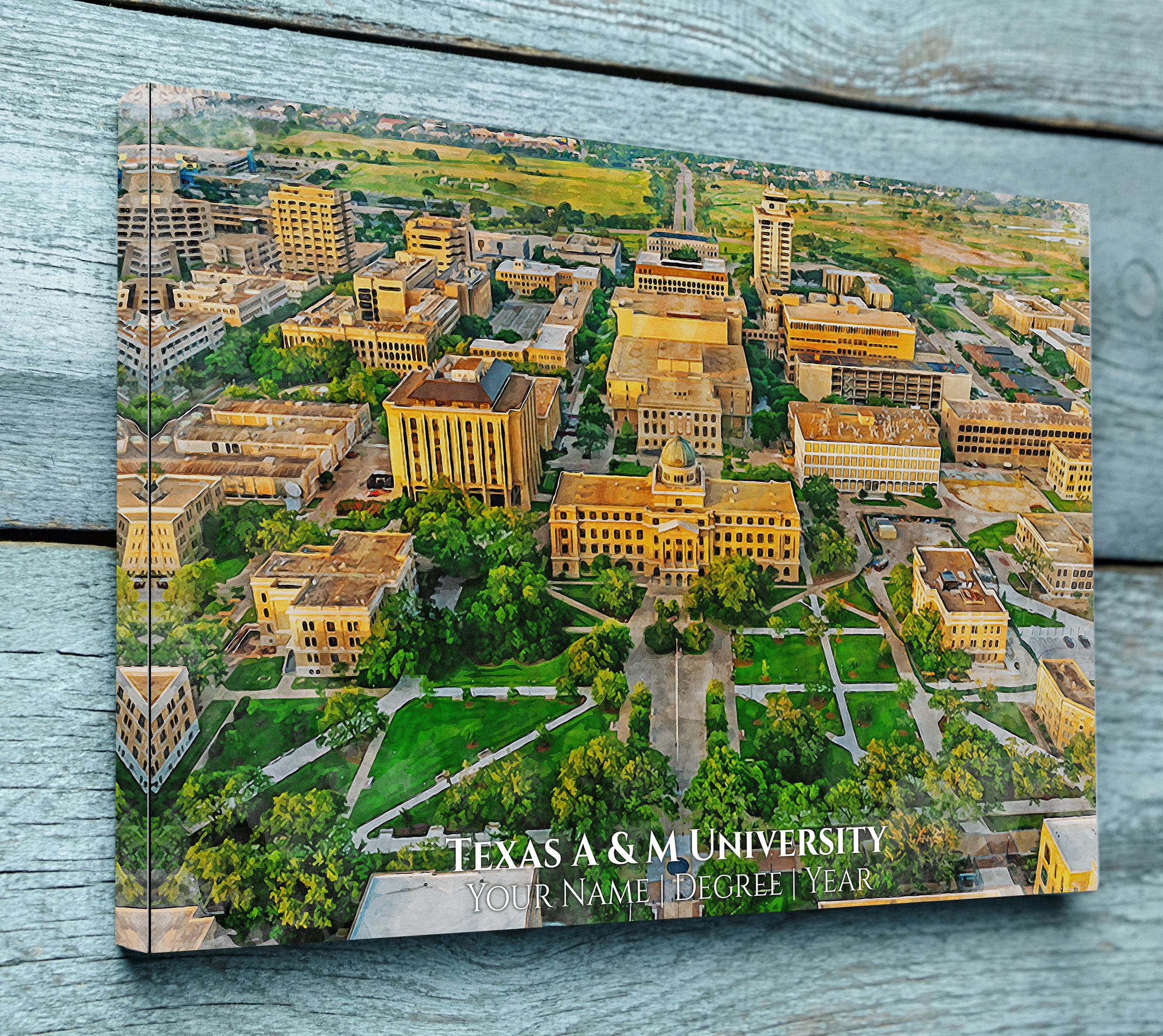 Texas A&M University watercolor. Graduation gift, Texas AM University , College