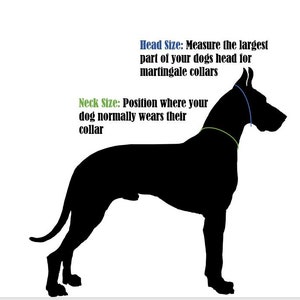 Puede incluir: Silueta negra de un perro con instrucciones sobre c&oacute;mo medir la cabeza y el cuello para un collar martingale. "Tama&ntilde;o de la cabeza: Mida la parte m&aacute;s grande de la cabeza de su perro para los collares martingale." "Tama&ntilde;o del cuello: Posici&oacute;n donde su perro normalmente lleva su collar."