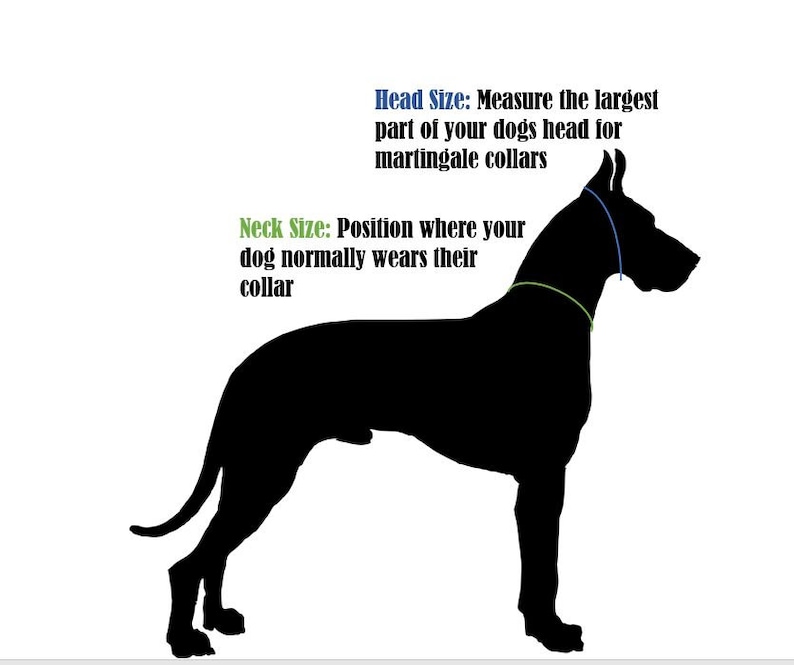 Puede incluir: Silueta negra de un perro con instrucciones sobre c&oacute;mo medir la cabeza y el cuello para un collar martingale. "Tama&ntilde;o de la cabeza: Mida la parte m&aacute;s grande de la cabeza de su perro para los collares martingale." "Tama&ntilde;o del cuello: Posici&oacute;n donde su perro normalmente lleva su collar."