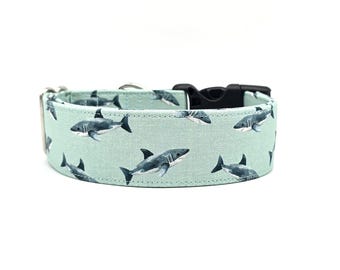Teal Blue Great White Shark Dog Collar