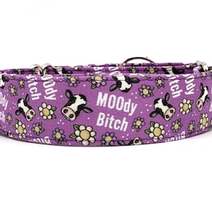 MOOdy Bitch Dog Collar - Purple Floral Collar - Cow - Humorous Swear Word Collar