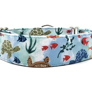 Sea Turtles & Fish Dog Collar - Light Blue Collar - Boy or Girl Collar - Ocean Themed Collar - 2 Inch Collar - Martingale Collar