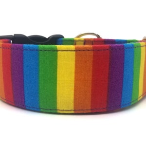 Rainbow Dog Collar - Bright Collar - Vibrant Collar - Designer Collar - 2 Inch Collar - Martingale Collar