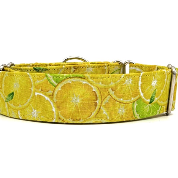 Lemon & Lime Citrus Summer Dog Collar - Bright Yellow Fruit Collar
