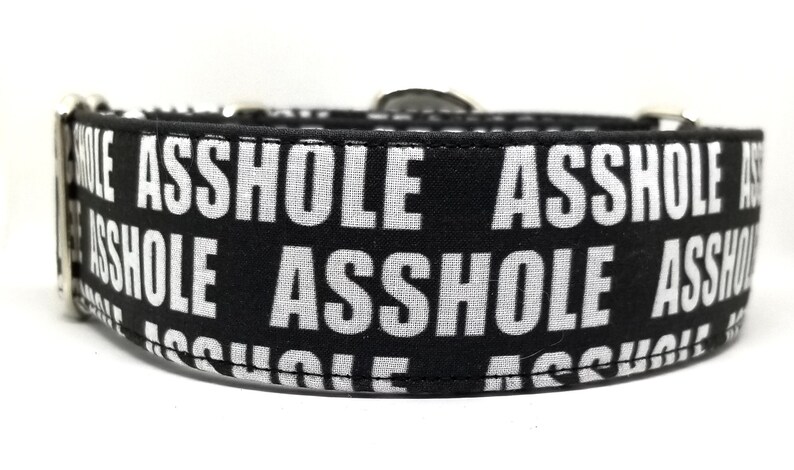 Asshole Dog Collar Black Collar Joke Collar Profanity - Etsy