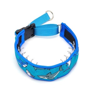 May include: Blue dog collar with a shark print and metal prongs.