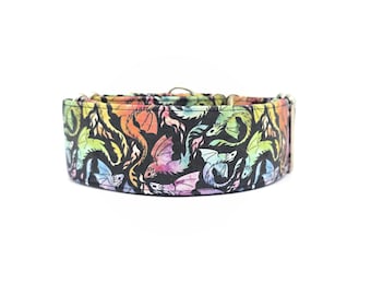 Rainbow & Black Dragons Dog Collar