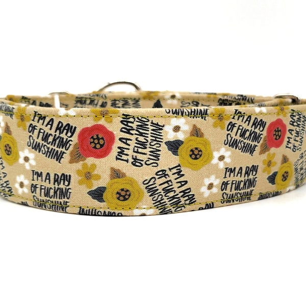 I'm A Ray Of Fucking Sunshine Dog Collar - Yellow Floral Collar - Girl Collar - Profanity Collar - Martingale Collar - Greyhound Collar