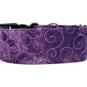 May include: Purple dog collar with a swirl pattern.