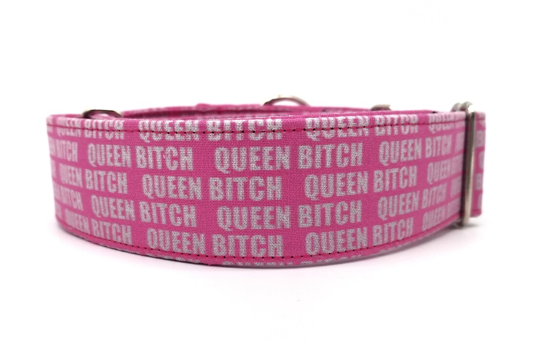 Pink Queen Bitch Dog Collar Joke Collar Profanity Collar Etsy