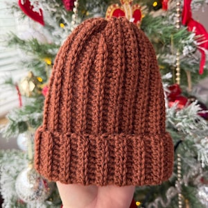 May include: A rust-coloured, ribbed knit beanie hat. The hat is made of a thick yarn and has a folded brim. The beanie is a warm, winter accessory.