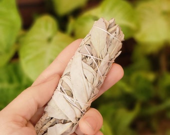 4" White Sage Bundle