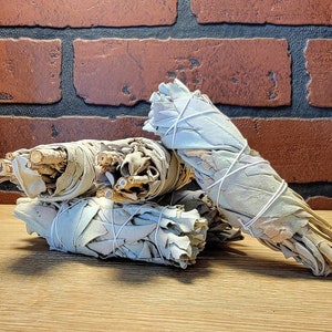 4 White Sage Bundle image 2