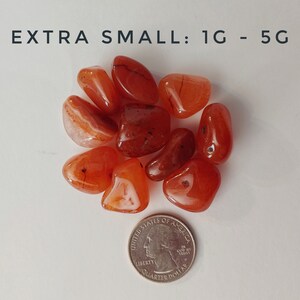 Carnelian Tumbled Stone Crystals Extra Small 1g - 5g