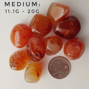 Carnelian Tumbled Stone Crystals Medium 11.1g - 20g