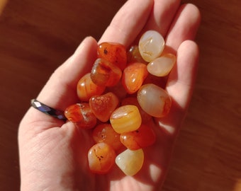 Carnelian Tumbled Stone Crystals