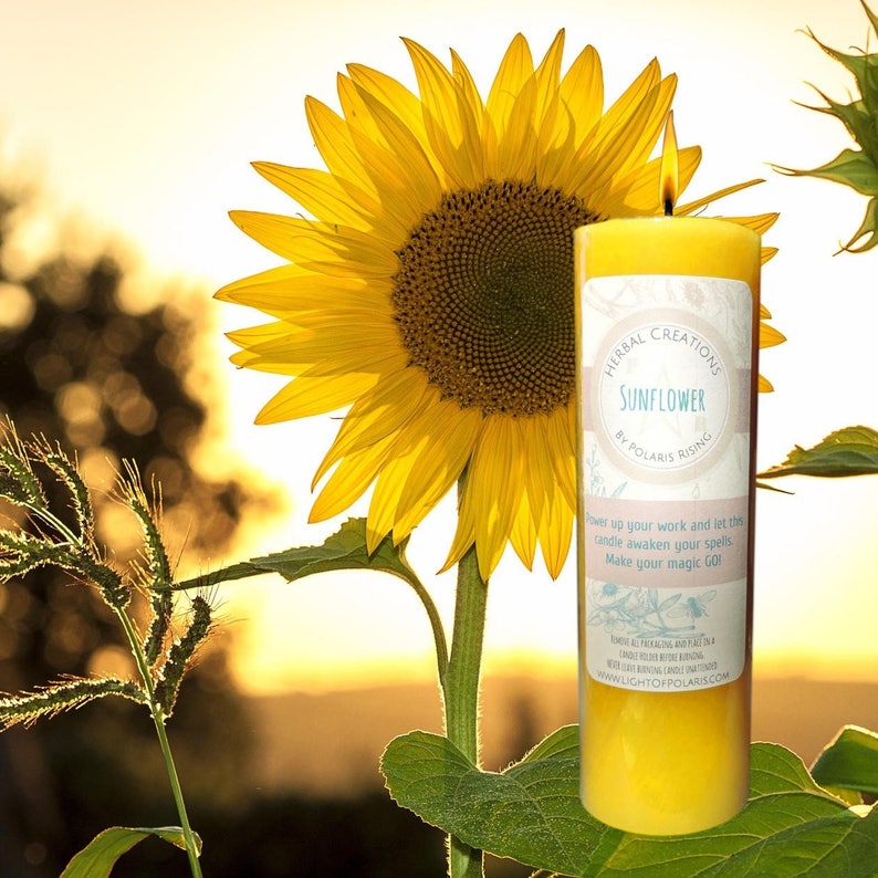 Sunflower Pillar Candle image 1