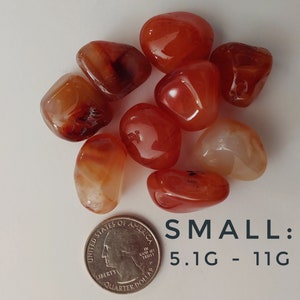 Carnelian Tumbled Stone Crystals Small 5.1g - 11g