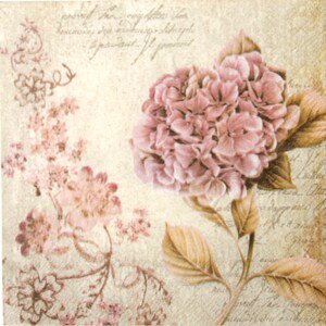 Puede incluir: Un diseño floral de estilo vintage con una gran hortensia rosa con hojas marrones y un fondo de escritura descolorida.