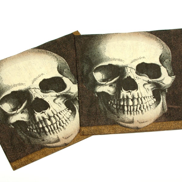 Set of 2 pcs Decoupage napkins 33x33cm | Paper Napkins | Tissue Napkin | Decoupage napkins | Hallowen decorations | Skull napkins #006