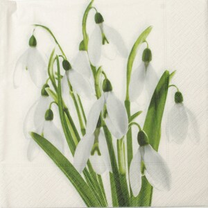 Servietten Schneeglöckchen-Motiv 33x33 Cm – 20 Stück, 3-lagig, FSC-Papier, Für Frühling & Ostern
