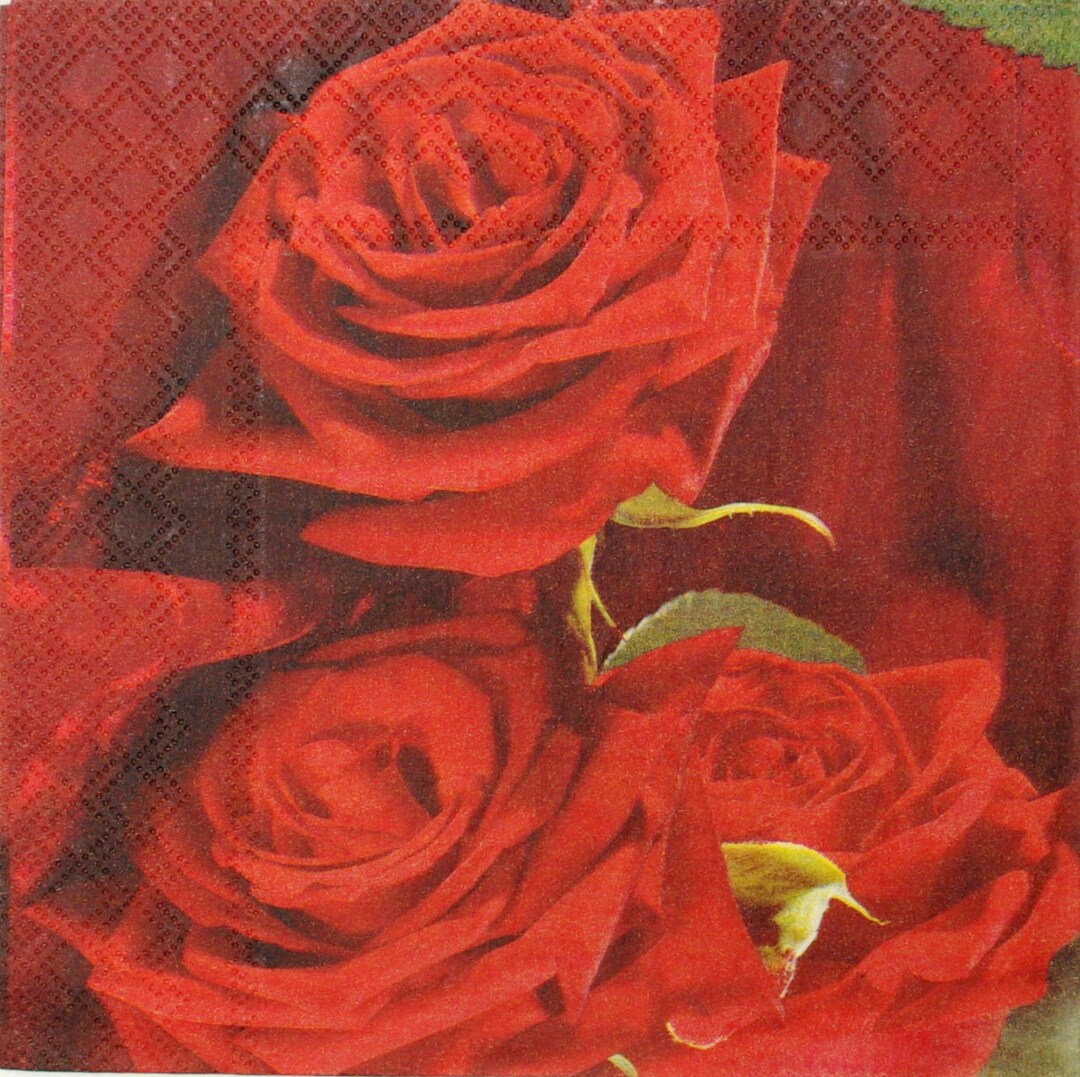 2 Decoupage Napkins 3ply Paper Napkin Tissue Napkins Decoupage Napkins