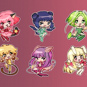 Tokyo Mew Mew 2.5&quot; Charms