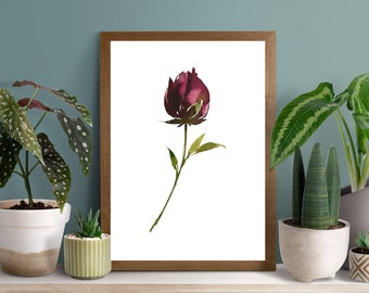 Impressão de arte de rosas: decoração de parede floral botânica