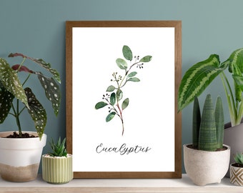 Impressão de arte de eucalipto: decoração de parede botânica