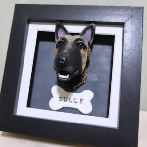 以下が含まれることがあります： 犬の頭部の3D彫刻が額縁に入っています。下には「SULLY」と書かれた骨の形をしたプレートがあります。