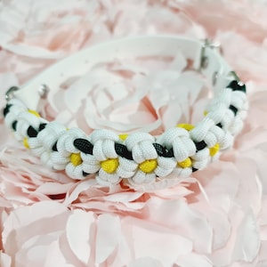 Daisy Dog Collar - Biothane Dog Collar - Flower Collar - Daisy