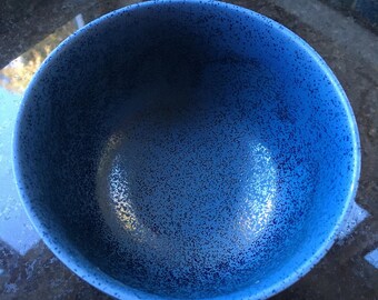 ヴィンテージアート陶器ボウル 青と白のトンボと蝶とてんとう虫と蜂