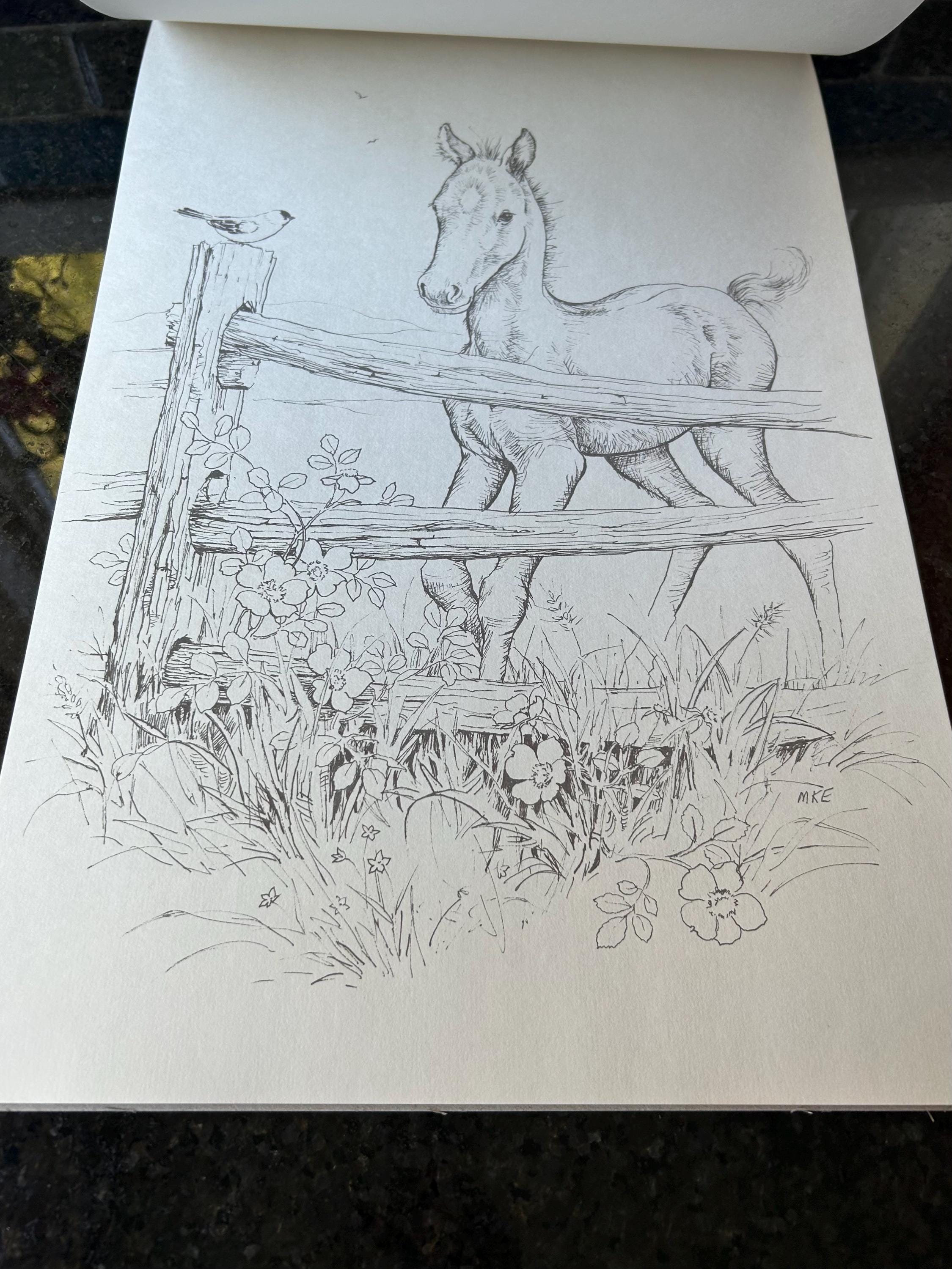 Red Farm Studio Vintage NEW “down on the Farm Coloring Book W/ Original Box Six Farm ...