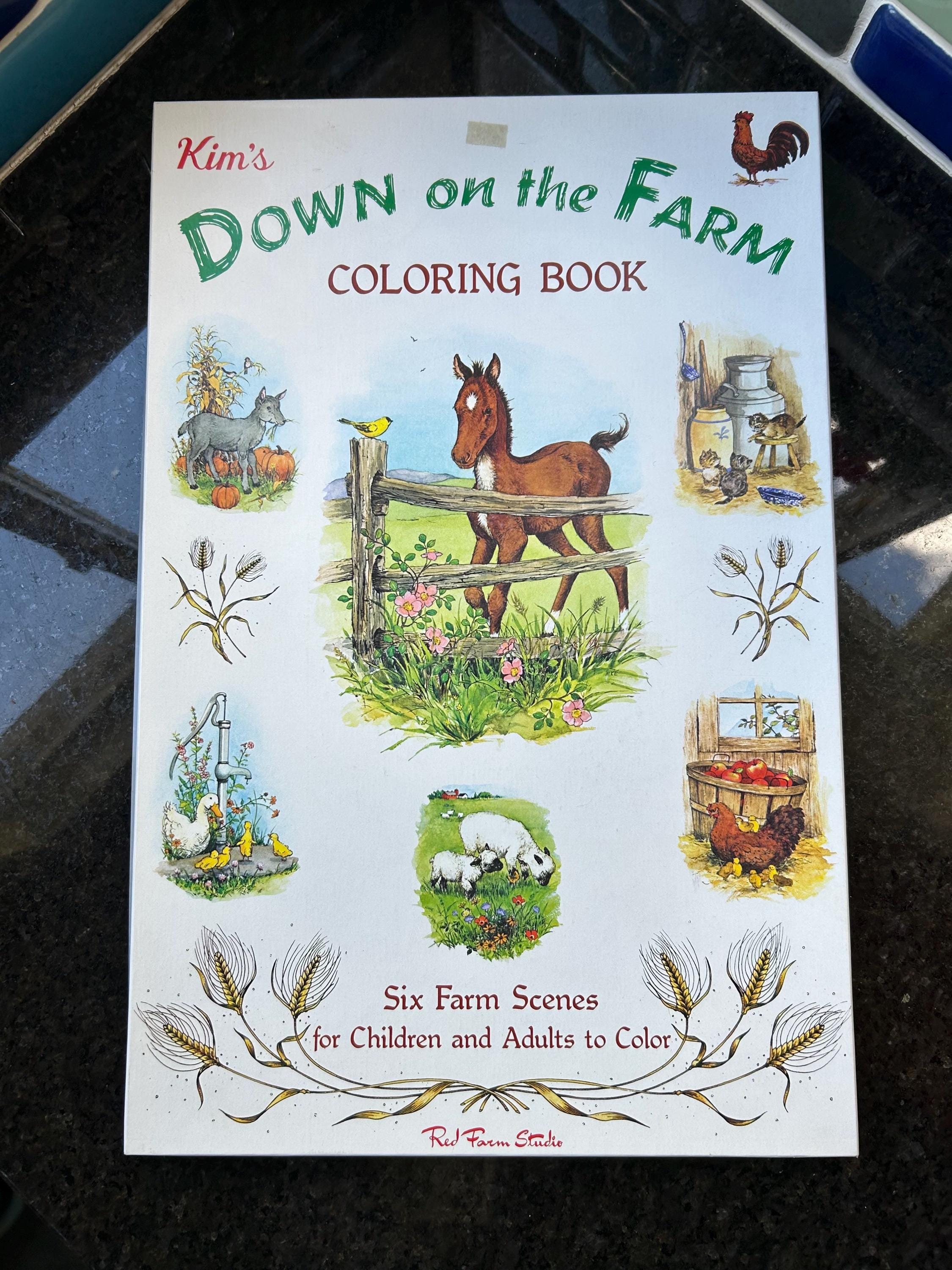 Red Farm Studio Vintage NEW “down on the Farm Coloring Book W/ Original Box Six Farm ...