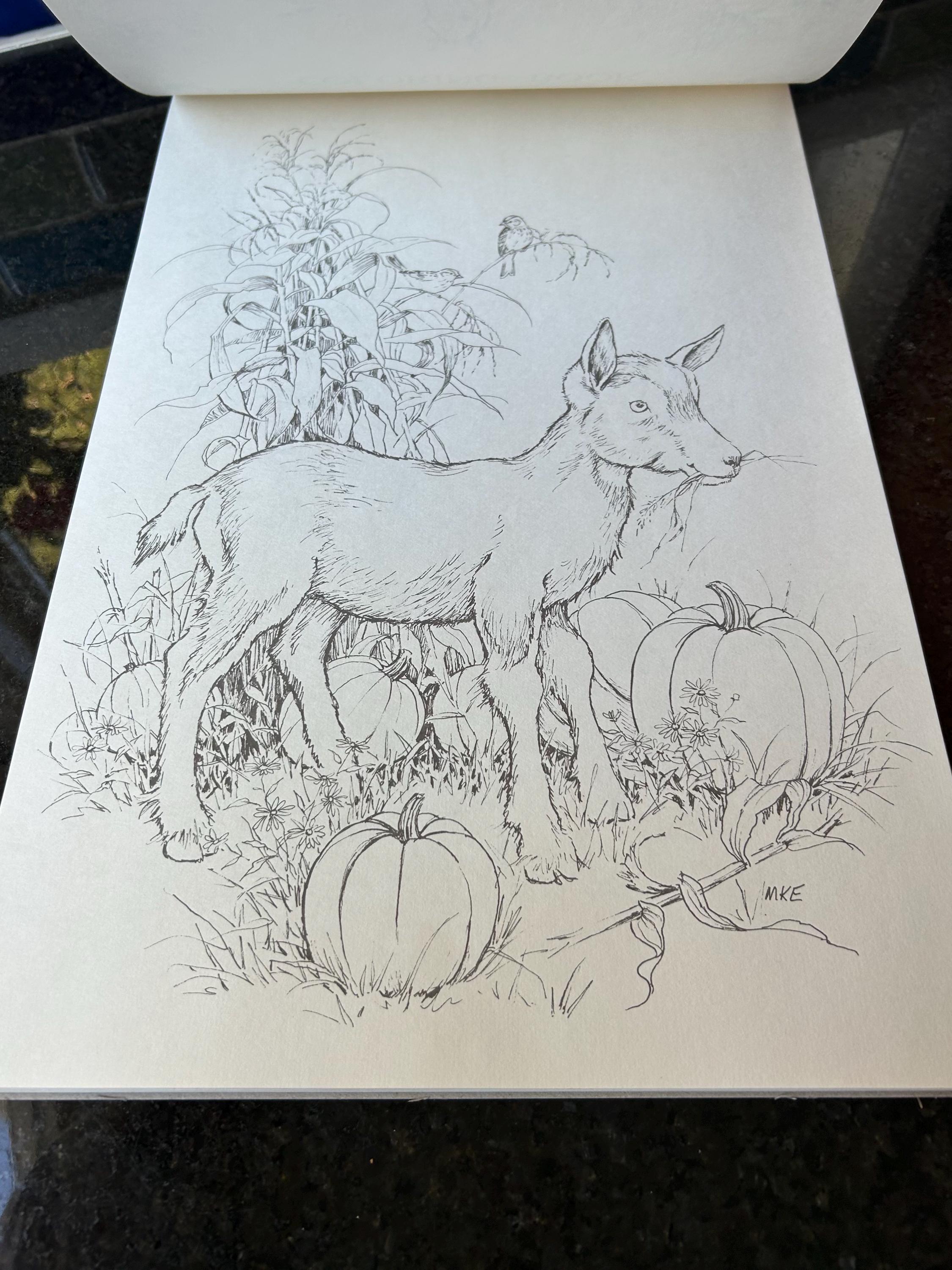 Red Farm Studio Vintage NEW “down on the Farm Coloring Book W/ Original Box Six Farm ...