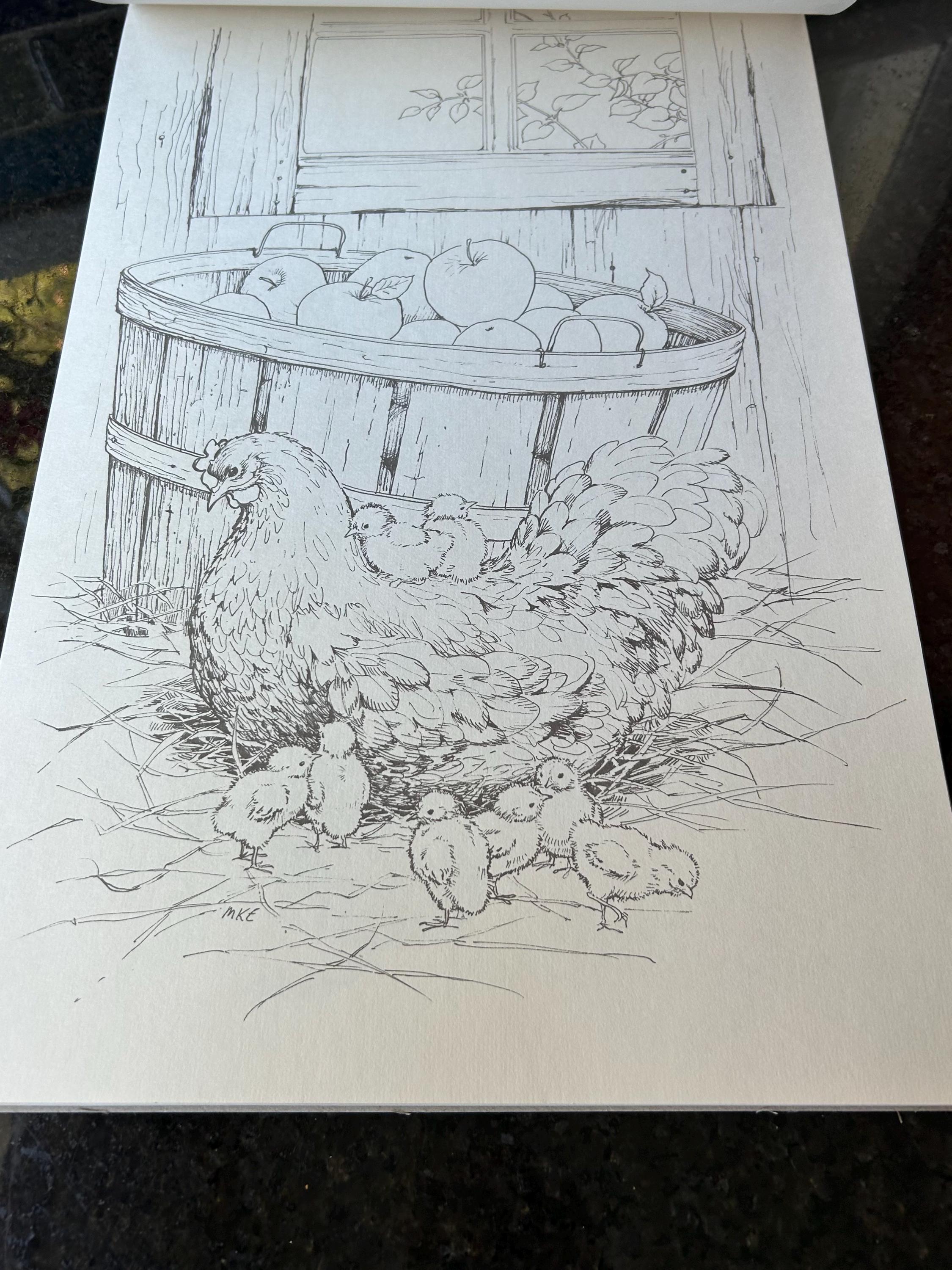 Red Farm Studio Vintage NEW “down on the Farm Coloring Book W/ Original Box Six Farm ...