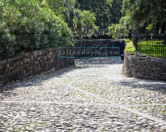 Cobbleston Street digital backdrop