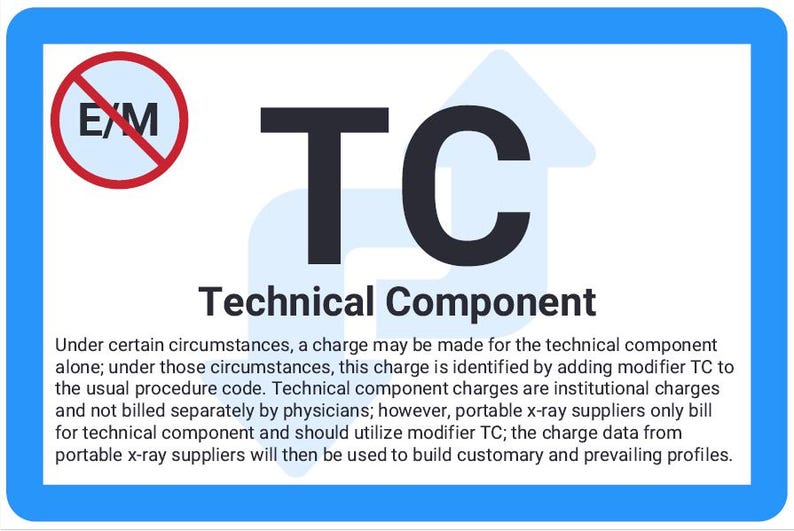 Modifier Flashcards *digital Download* - Etsy