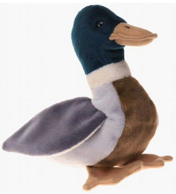 NEW MINT CONDITION Ty Beanie Baby 10 1998 Jake the Mallard Duck Etsy