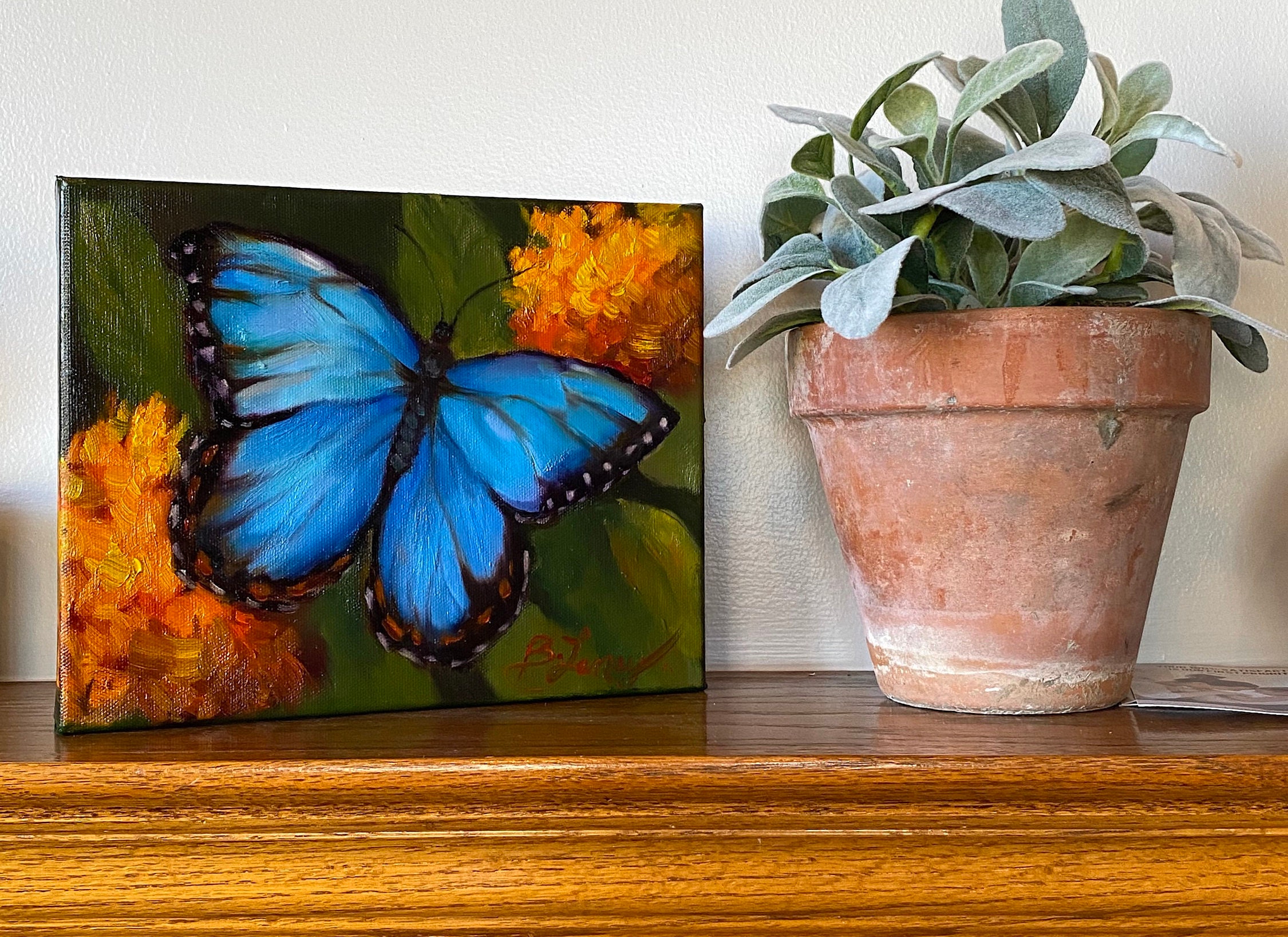 Blue Morpho Butterfly Painting Original Oil Painting 8 x 10 Etsy