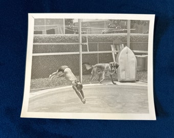 Hund und Junge tauchen im Schwimmbad, Hinterhof-Aktion, in der Luft, 1960er-Jahre, Vintage-Schwarzweißfoto E1