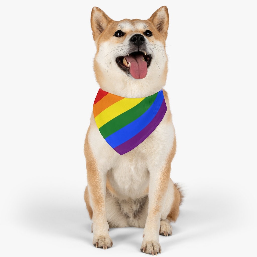 Regenbogen stolz Hund Bandana Kragen Etsy